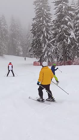 Vertical-Video-Low-Angle-POV-Skier-Skiing-Down-Misty-Snow-Covered-Slope-1